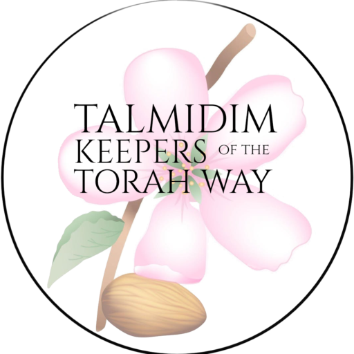 talmidimkeepers.org